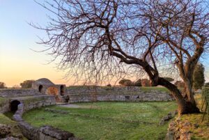 Andrea Devicenzi Paestum