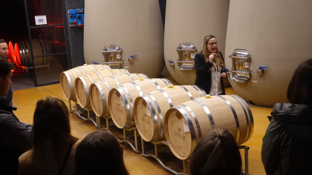 ASSET Vallagarina Andrea Devicenzi